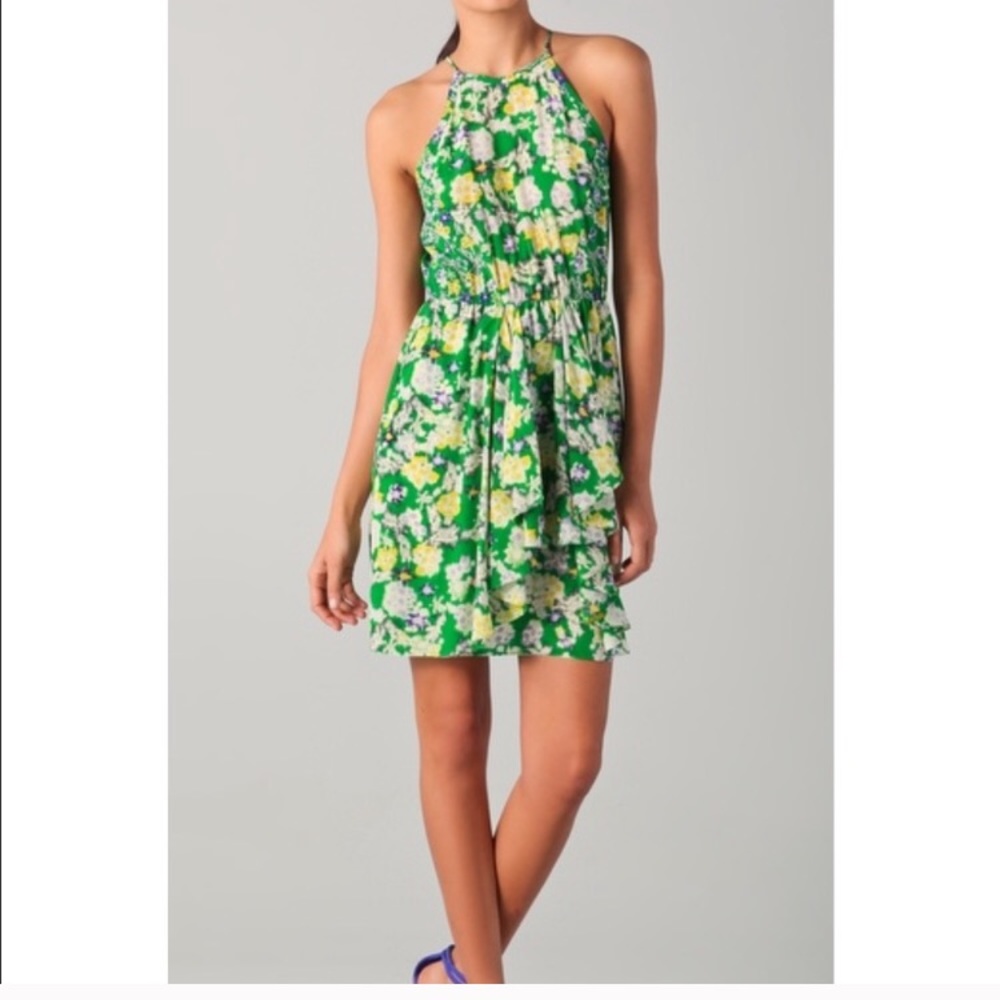 Rebecca Taylor size 2 flower garden dress